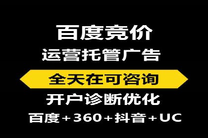百度竞价策略成功案例：如何做到日赚千元